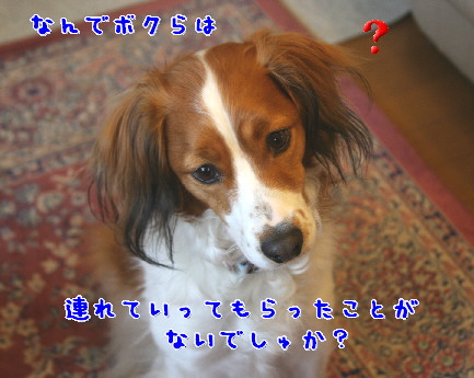 d0013149_0553446.jpg