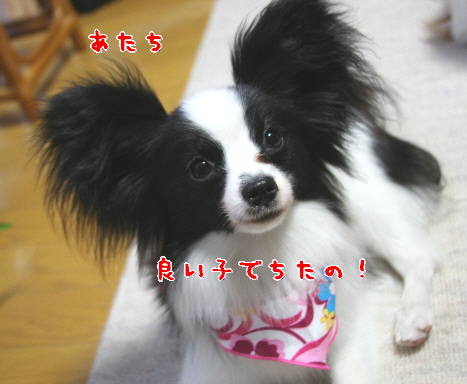 d0013149_0594117.jpg