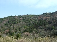 c0108460_16183074.jpg