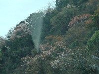 c0108460_162194.jpg
