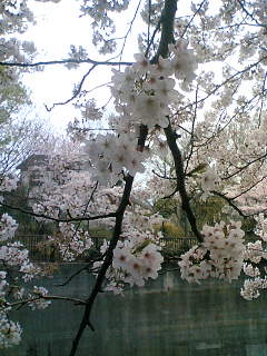 e0071165_21104235.jpg