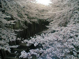 e0071165_2153644.jpg