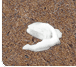 b0062167_10133935.gif