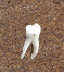 b0062167_101656100.gif