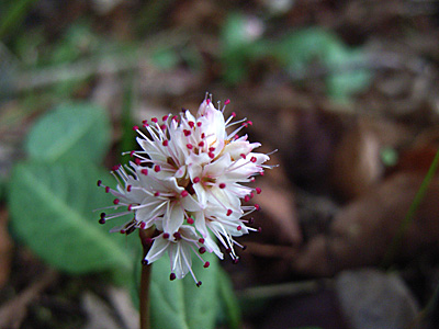 c0025167_21443161.jpg
