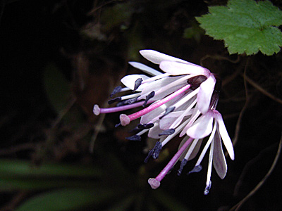 c0025167_21452772.jpg