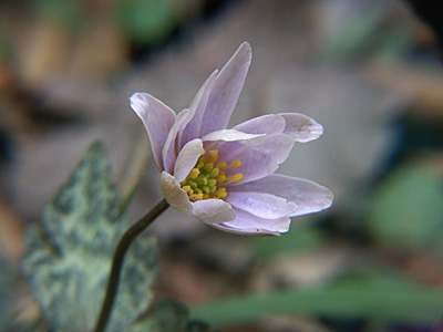 c0025167_214557100.jpg