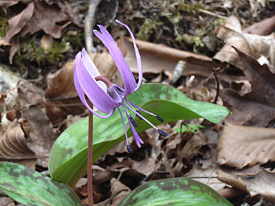 c0025167_21491683.jpg