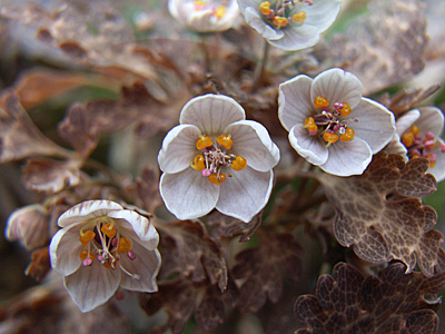 c0025167_22372362.jpg