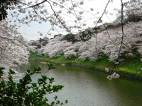 c0102268_21512414.jpg