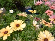 c0102268_22245965.jpg