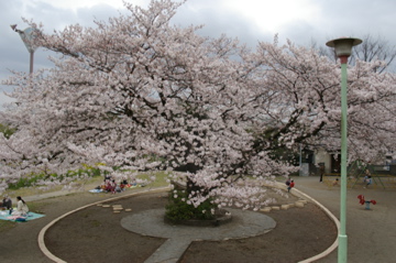 e0095468_15155770.jpg