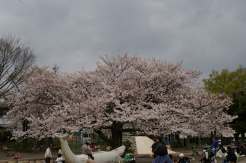 e0095468_1583790.jpg