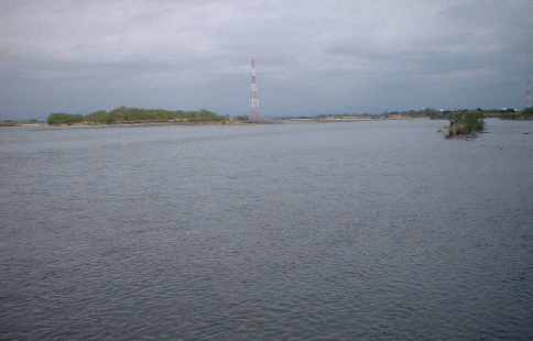 a0096669_1655715.gif