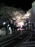 c0102375_4214955.jpg
