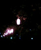 f0004180_1232527.jpg