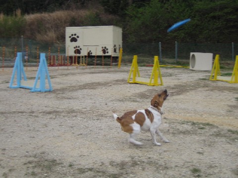 b0074782_20115952.jpg
