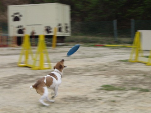 b0074782_20133842.jpg