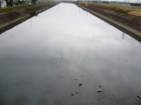 e0074782_212456.jpg