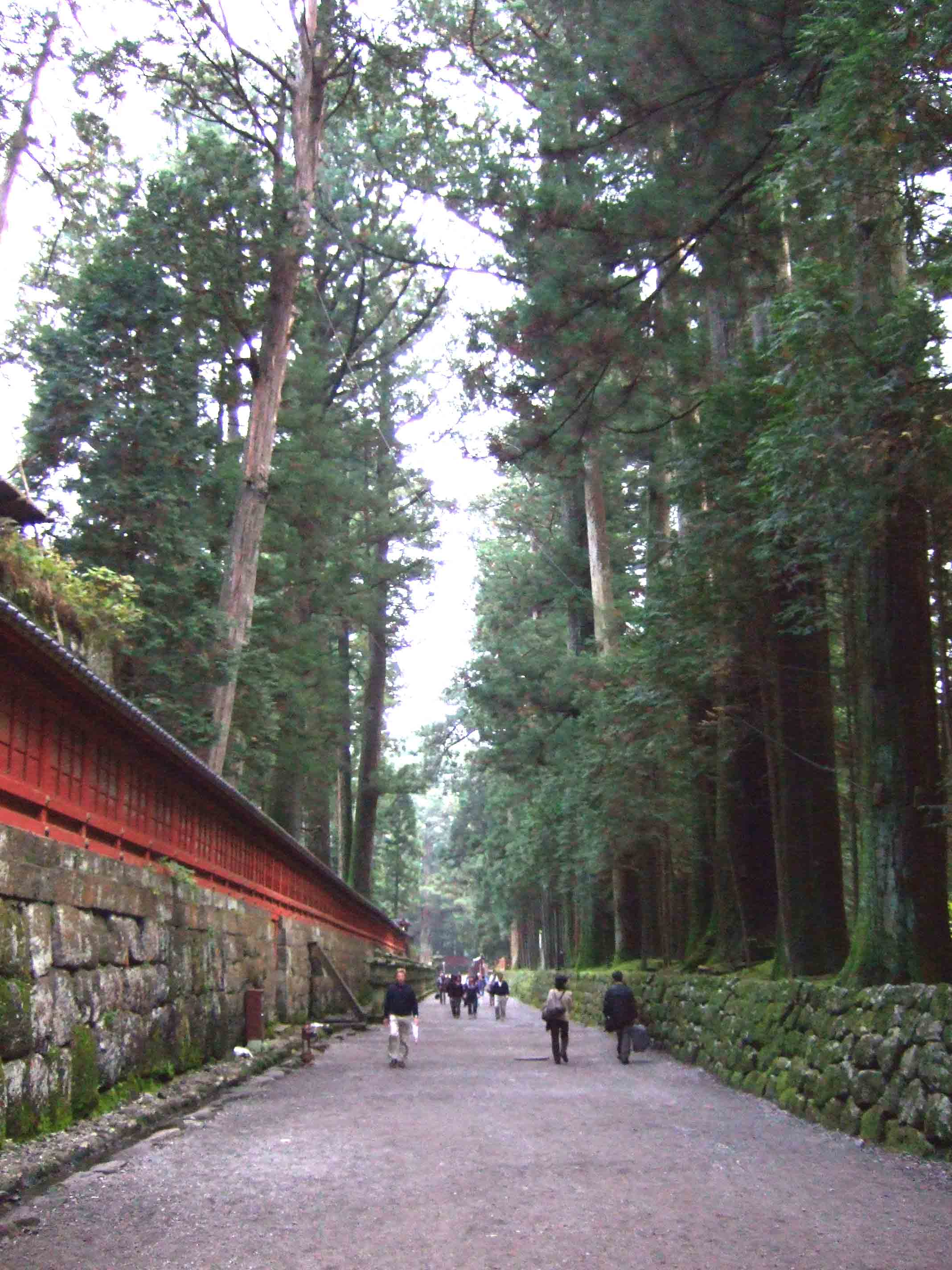 e0000384_3244437.jpg