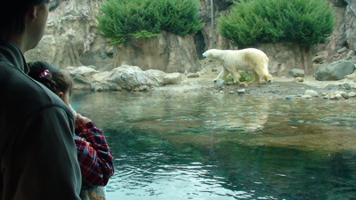 a0056686_186273.jpg