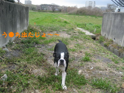 c0092787_1534565.jpg