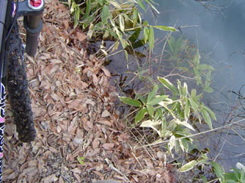 f0018388_22201220.jpg