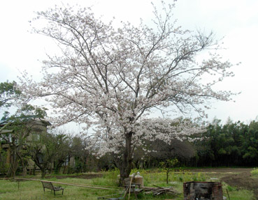 c0096393_23254188.jpg