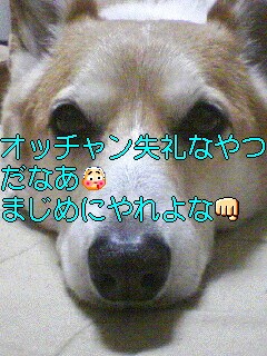 c0031794_20261362.jpg