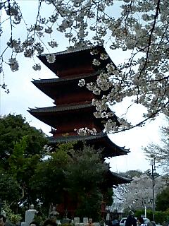 f0042295_2343595.jpg