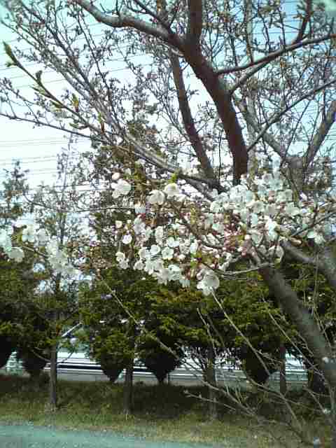 a0037298_19233099.jpg