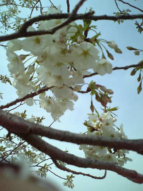 a0037298_1923635.jpg