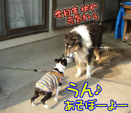 c0094999_3434090.jpg