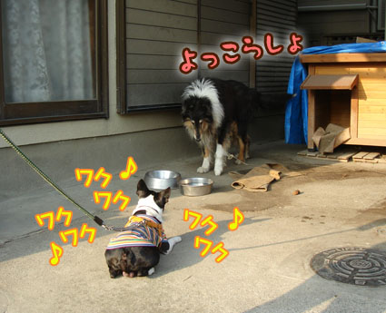 c0094999_343919.jpg
