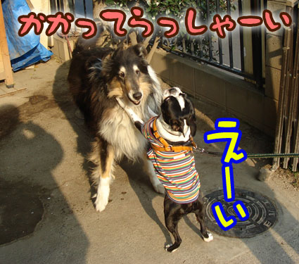c0094999_344348.jpg
