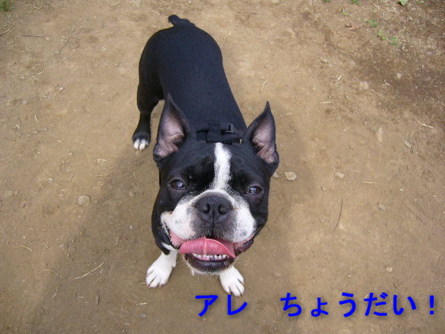 d0070702_23213417.jpg