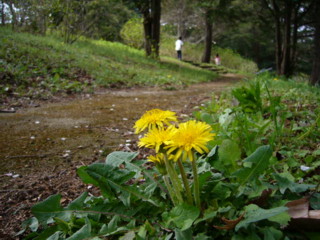 d0070702_23461015.jpg