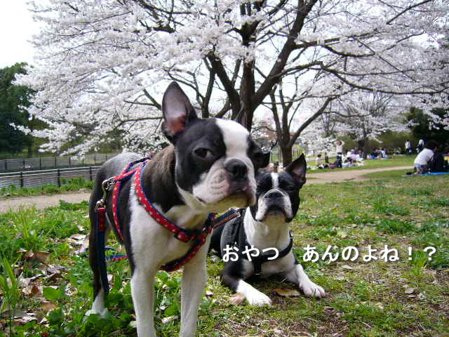 d0070702_23481239.jpg