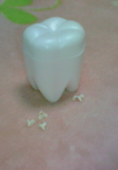e0040602_21434494.jpg