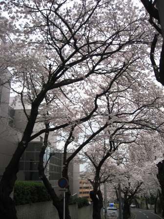 c0017505_20435824.jpg