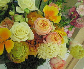 f0047609_9502412.jpg