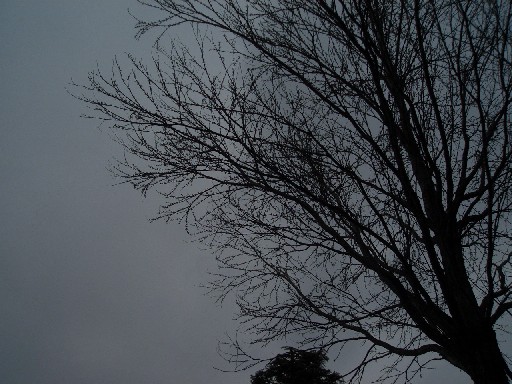 b0058010_1733897.jpg