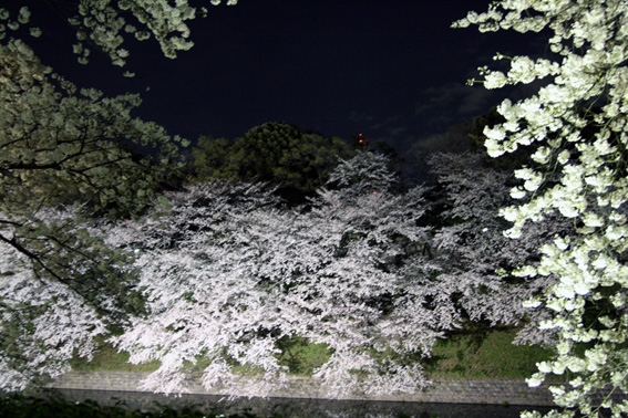 b0040615_12132492.jpg