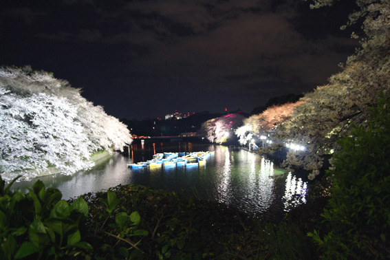 b0040615_12143966.jpg