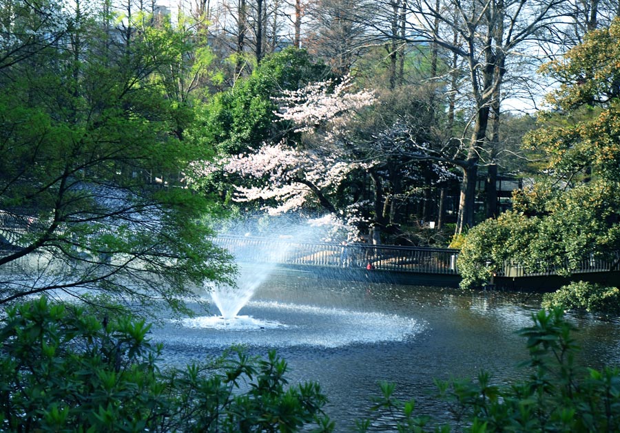 f0035323_441238.jpg