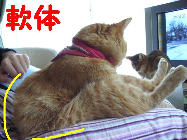 d0081025_143336.jpg