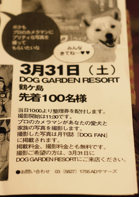 e0071225_23134537.jpg