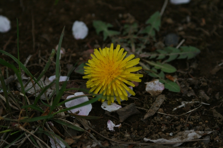 e0047026_18315474.jpg