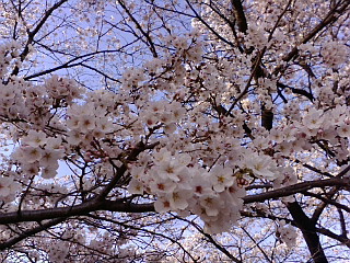 f0015027_18362953.jpg