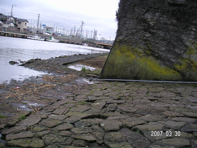 a0020929_20253453.jpg